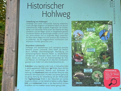 Informationstafel Historischer Hohlweg