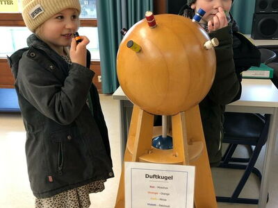 Den Sinnen auf der Spur